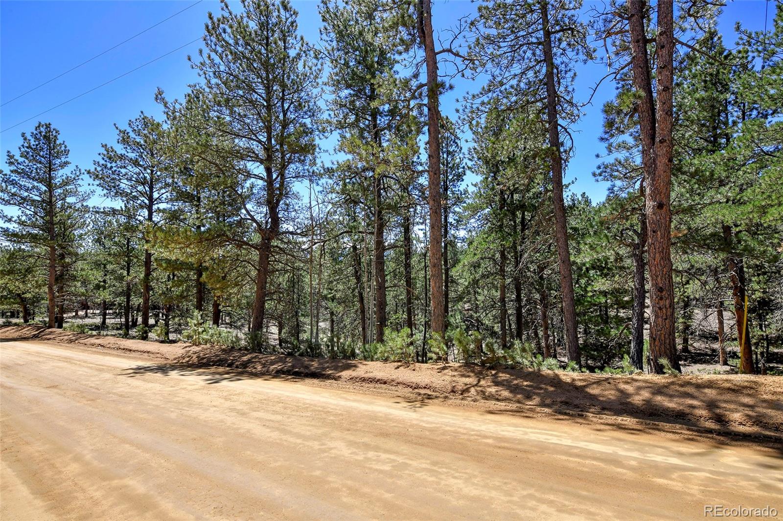 860 Spring Valley Drive Divide, CO 80814 - Photo 5 of 14