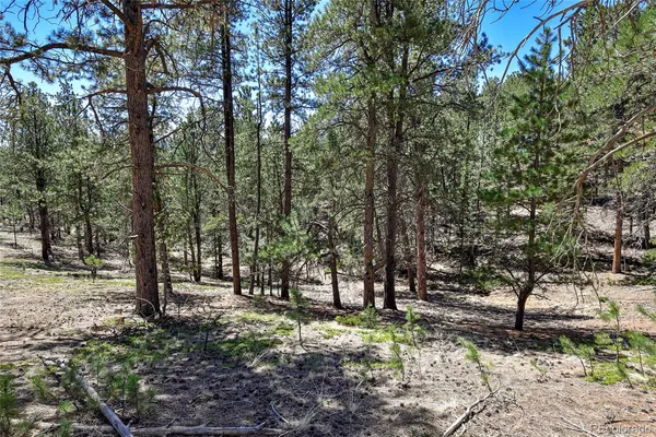 $69,000 | 860 Spring Valley Drive, Divide, CO 80814