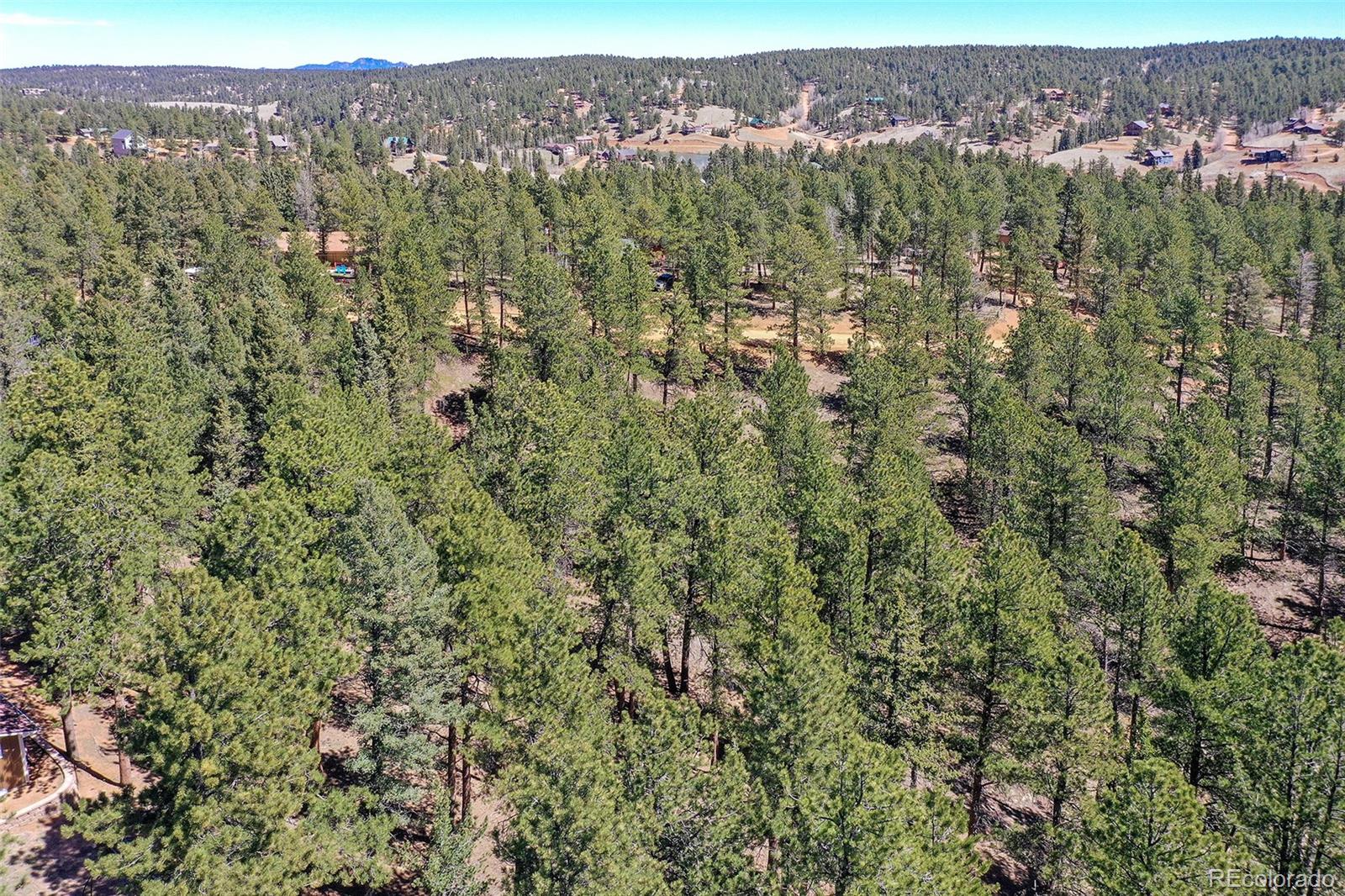 860 Spring Valley Drive Divide, CO 80814 - Photo 8 of 14