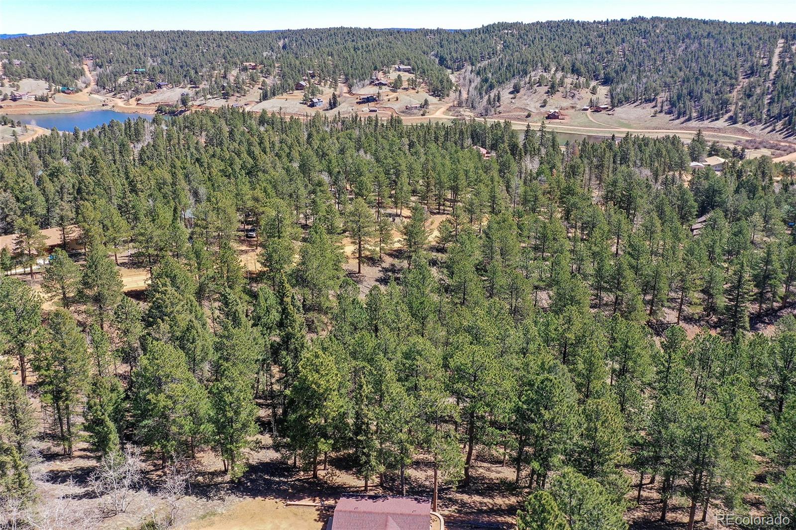 860 Spring Valley Drive Divide, CO 80814 - Photo 9 of 14