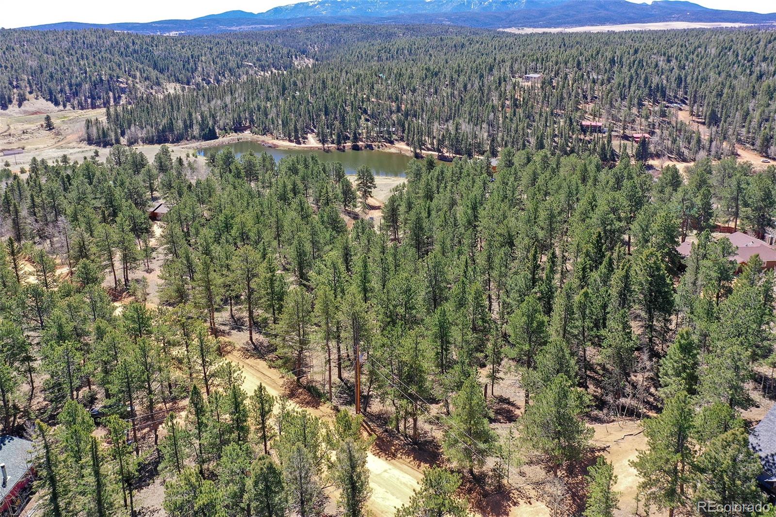 860 Spring Valley Drive Divide, CO 80814 - Photo 10 of 14