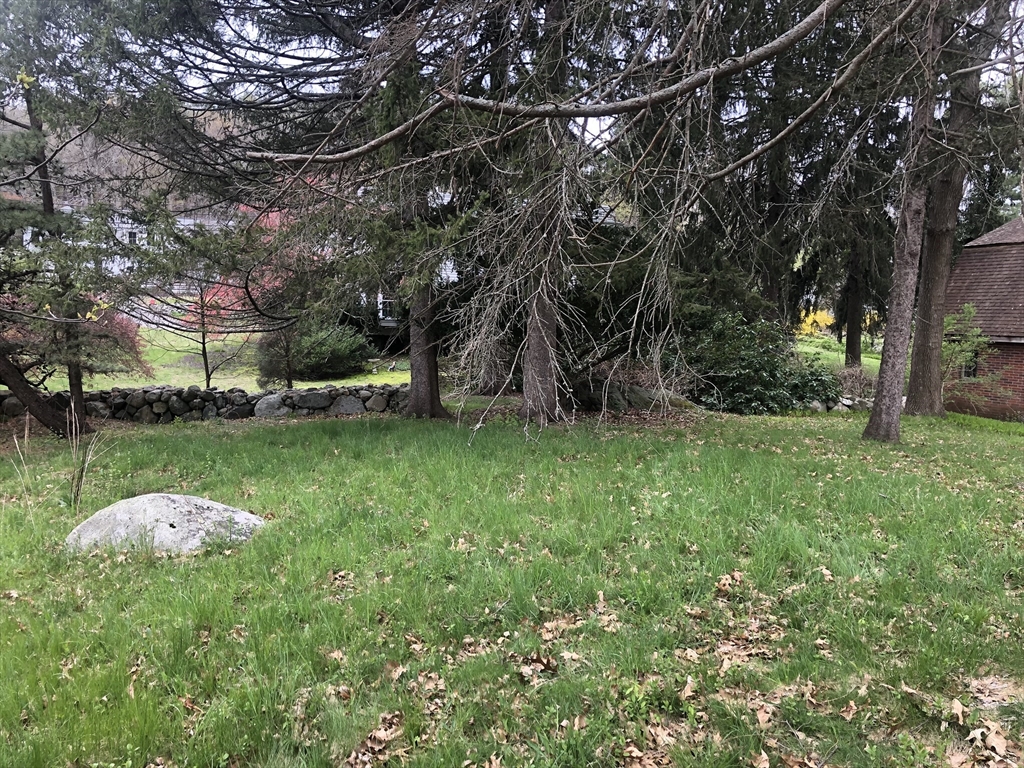 166 Spring Street Lexington, MA 02421 - Photo 6 of 8 a backyard of a house with lots of green space