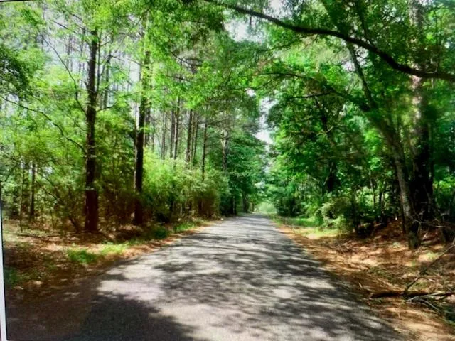 $99,950 | Tbd Ella McGehee Road, Meadville, MS 39653