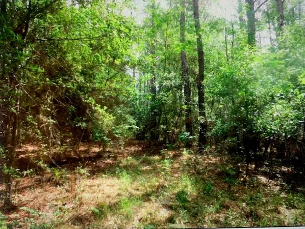 $94,920 | Tbd Ella McGehee Road, Meadville, MS 39653