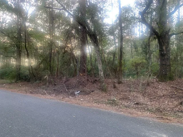 $99,950 | Tbd Ella McGehee Road, Meadville, MS 39653