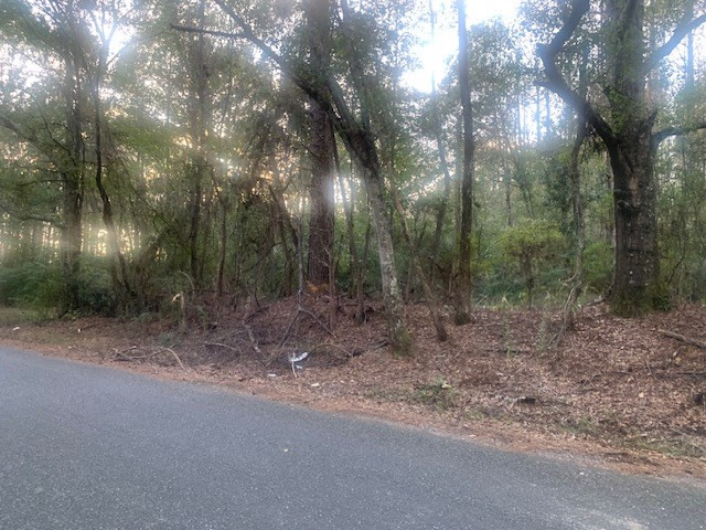 Tbd Ella McGehee Road Meadville, MS 39653 - Photo 4 of 6 Photo 4