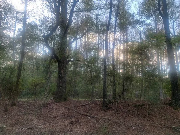 $94,920 | Tbd Ella McGehee Road, Meadville, MS 39653