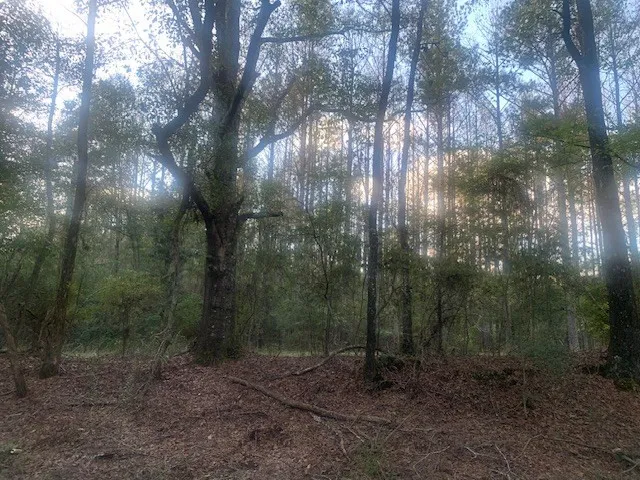 $99,950 | Tbd Ella McGehee Road, Meadville, MS 39653