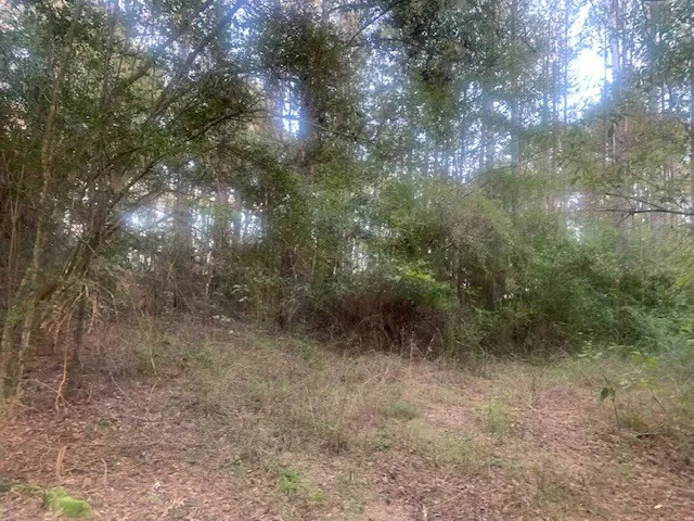 $99,950 | Tbd Ella McGehee Road, Meadville, MS 39653