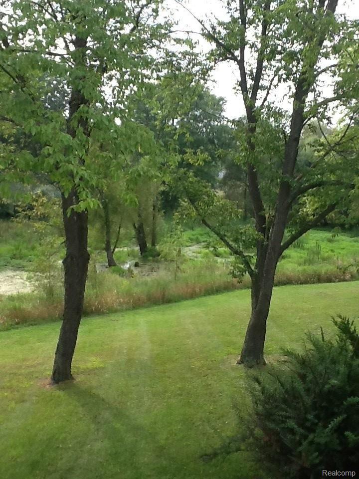 2298 East Coon Lake Road Howell, MI 48843 - Photo 9 of 42 CoonLkSeclusion.JPG