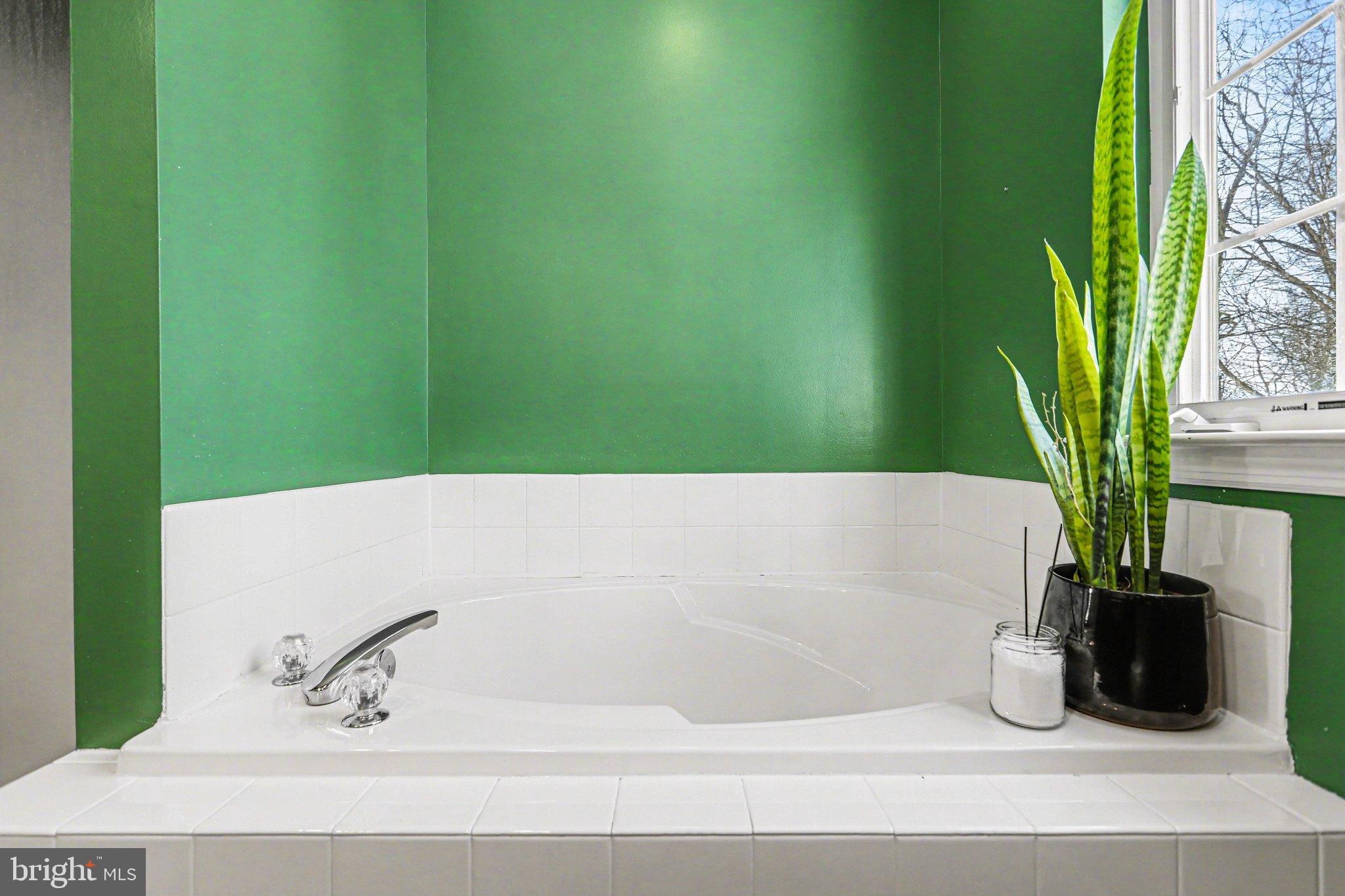 207 Edenderry Way Enola, PA 17025 - Photo 25 of 40 Serene spa-like retreat with vibrant hues.