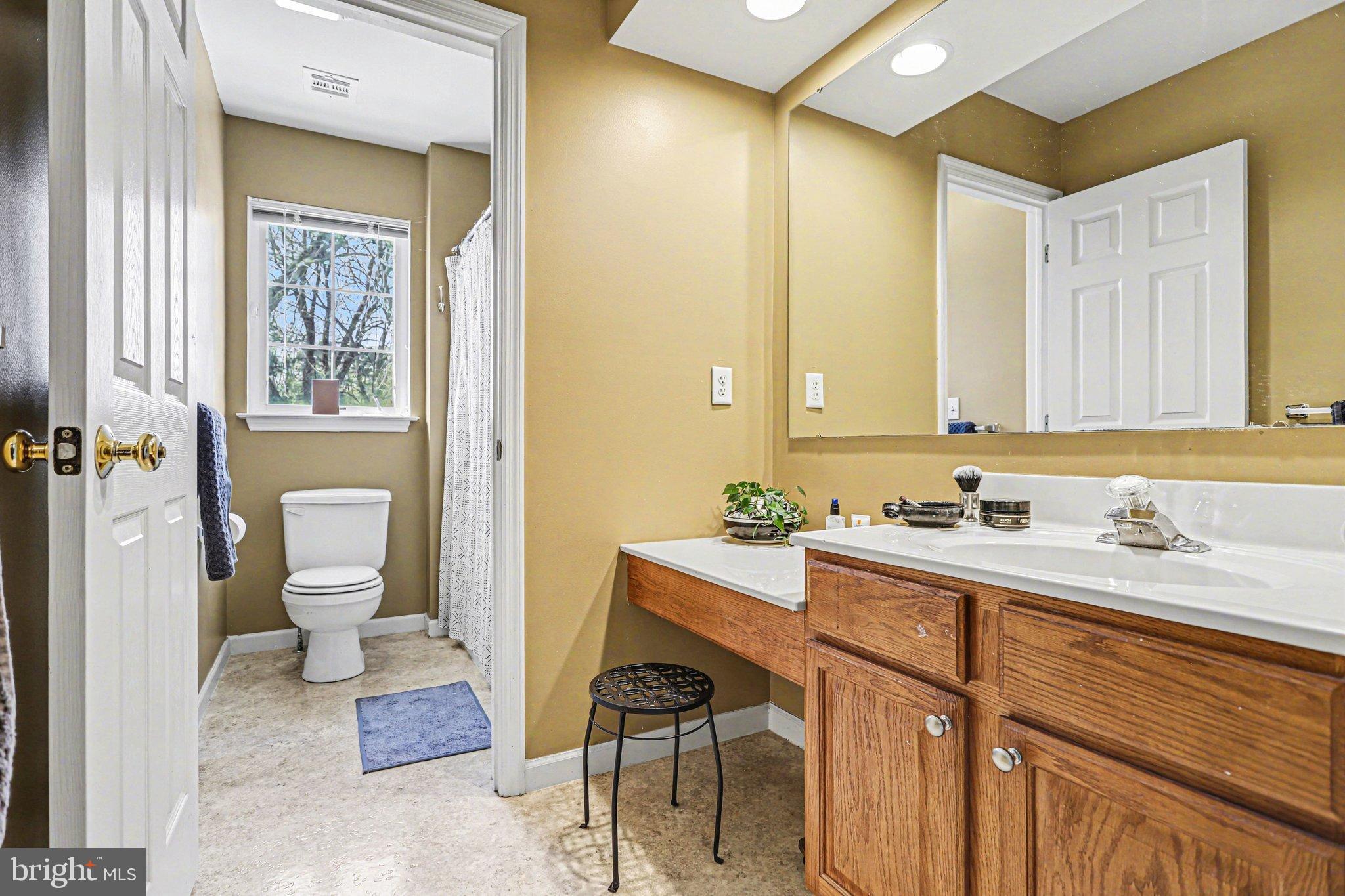 207 Edenderry Way Enola, PA 17025 - Photo 33 of 40 Bright and inviting bathroom retreat.
