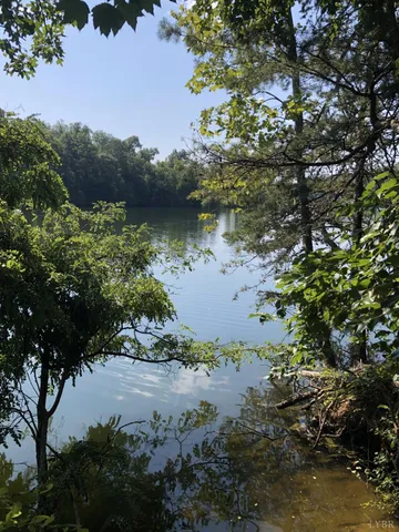 a view of a lake in between two trees