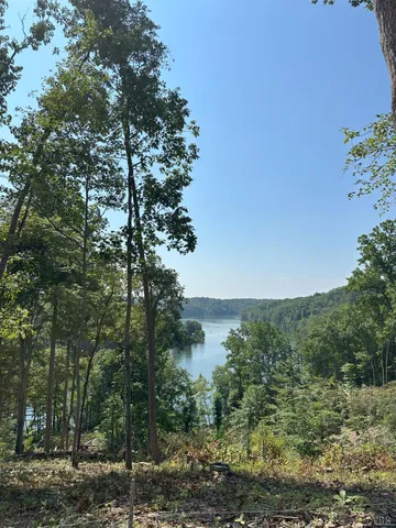 a view of a lake with a tree in the background