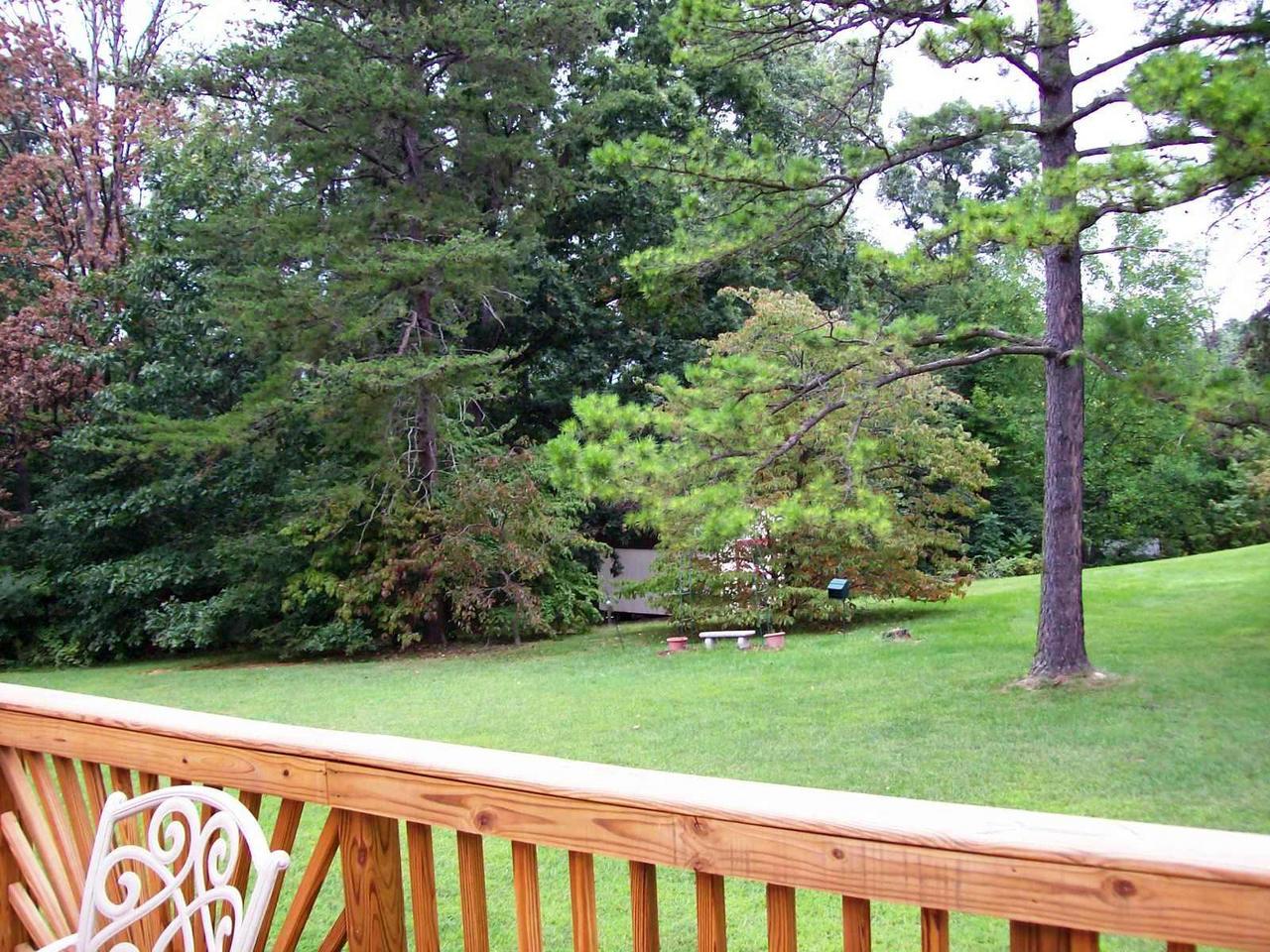 16 Persimmon Court Blue Ridge, VA 24064 - Photo 10 of 10 a green field with lots of trees