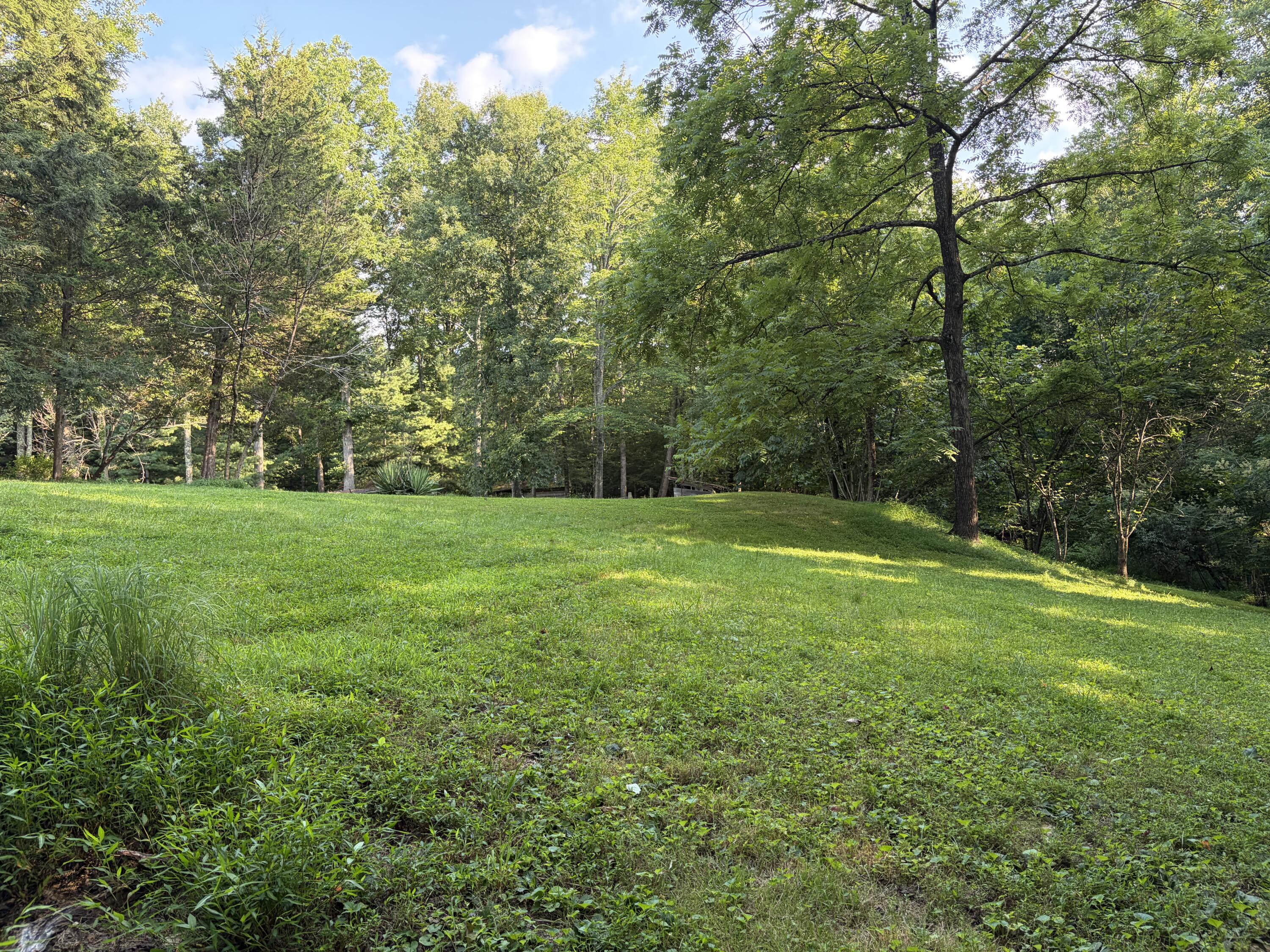 4221 Tarr Ridge Road Frenchburg, KY 40322 - Photo 13 of 48 IMG_1672