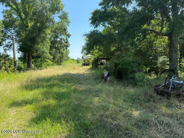 53 Cliffs Plantation Road Natchez, MS 39120 - Photo 4 of 23 53 Cliffs Plantation Pic 4