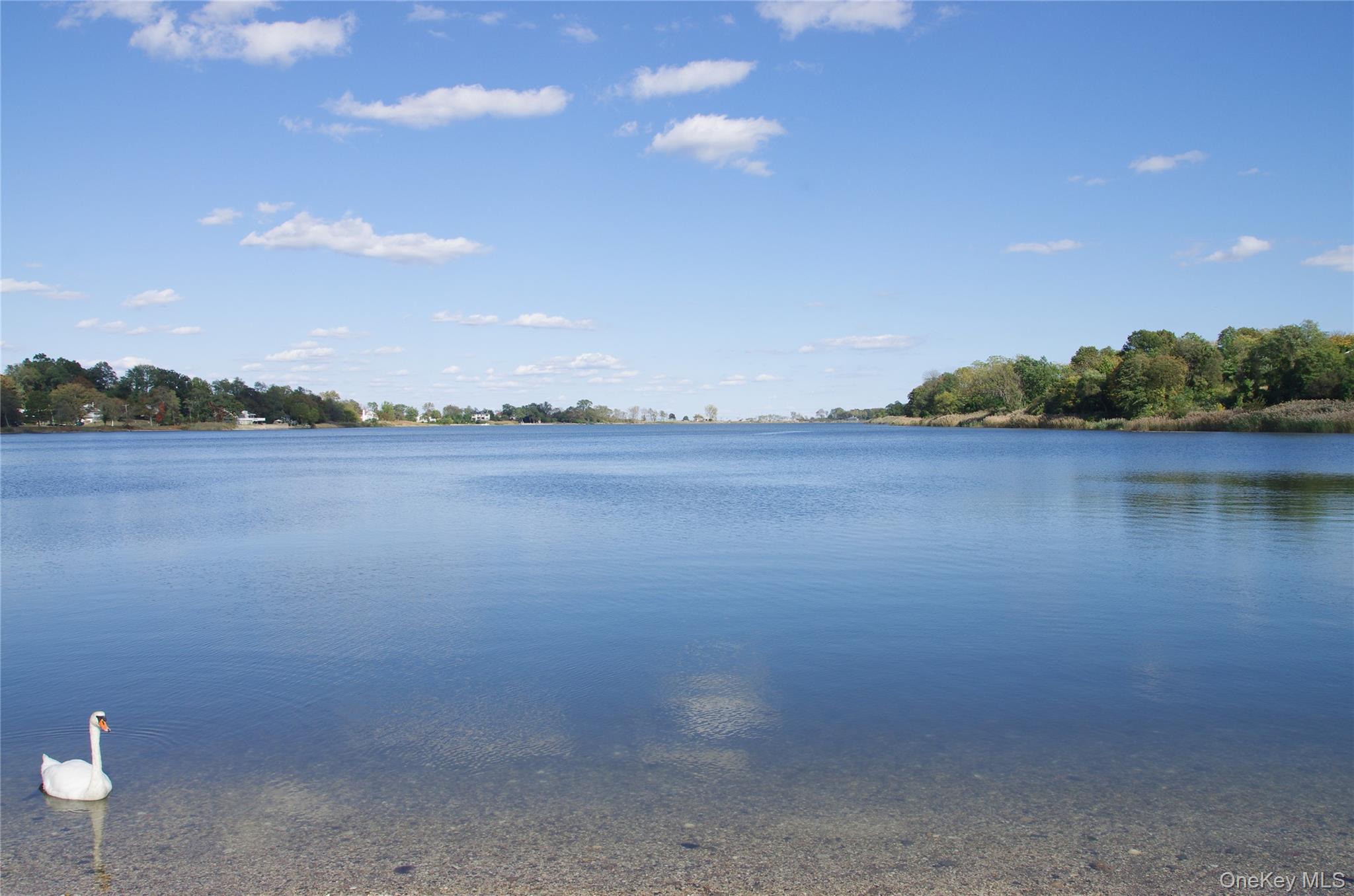 2 Seaman Road Glen Cove, NY 11542 - Photo 14 of 17 community pond