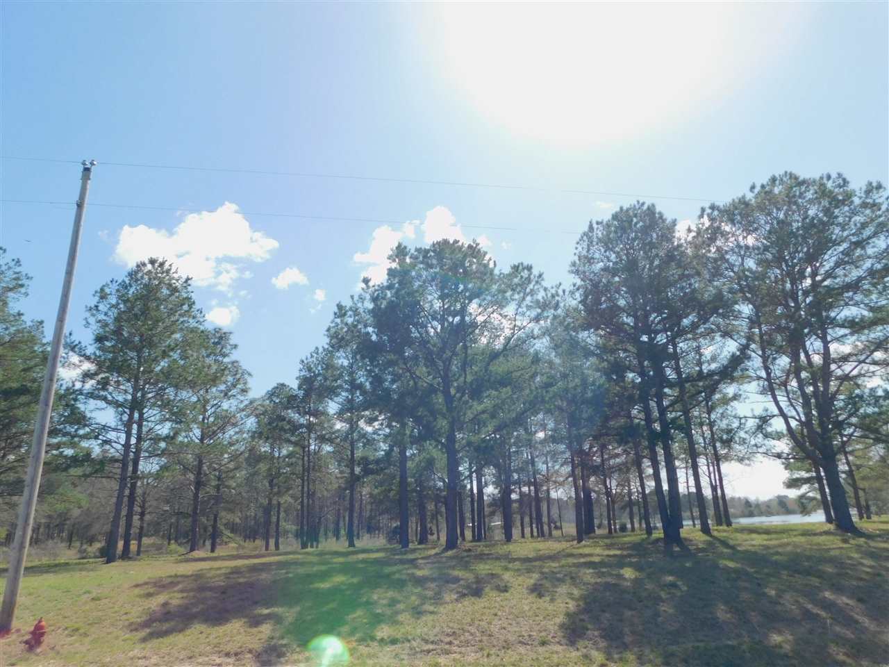 Lot 3 Fop Lodge Road Andalusia, AL 36421 - Photo 1 of 1 Gallery Image 1