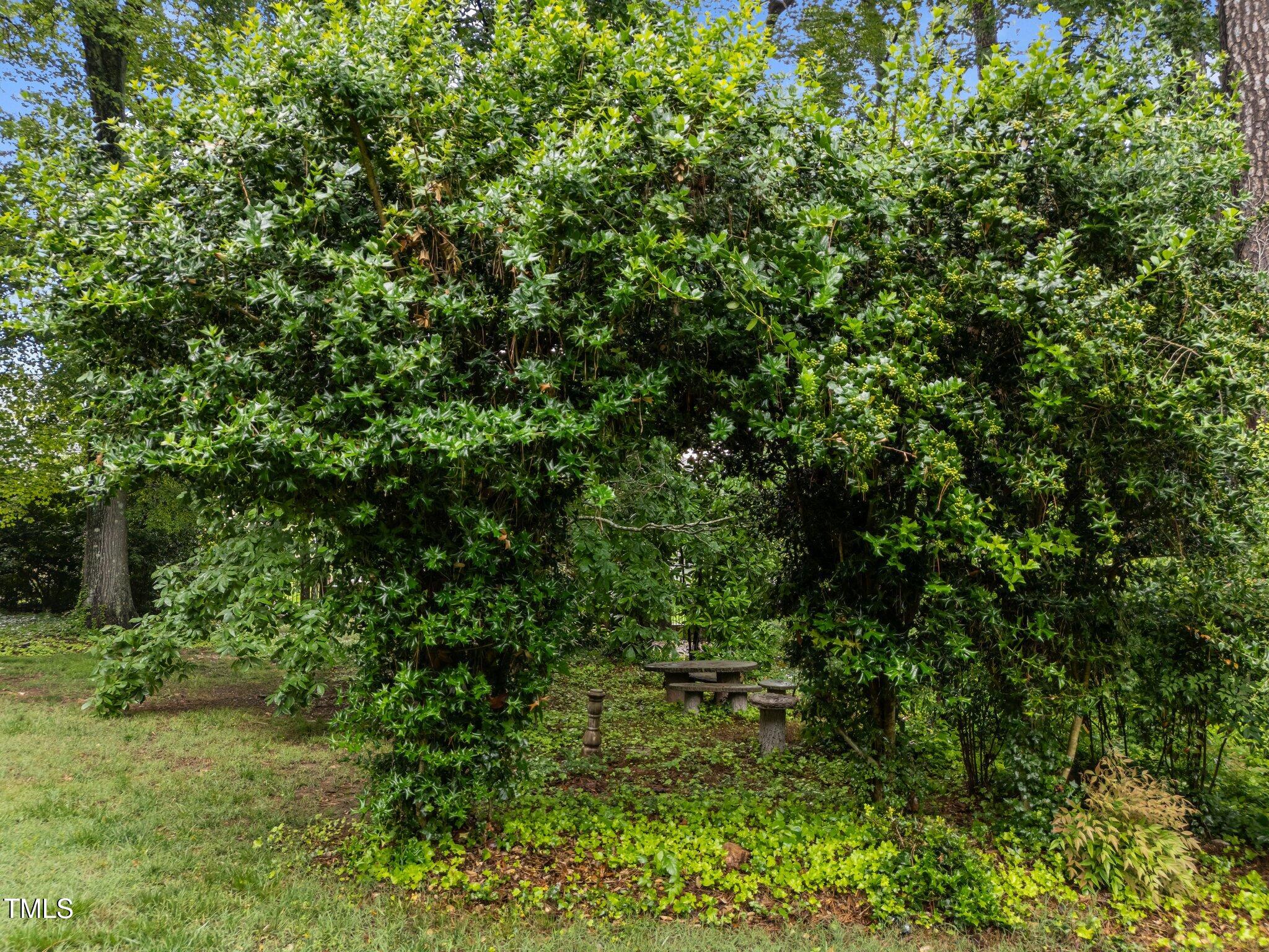 8509 Oneal Road Raleigh, NC 27613 - Photo 43 of 45 49-web-or-mls-DJI_20250514145056_0160_D