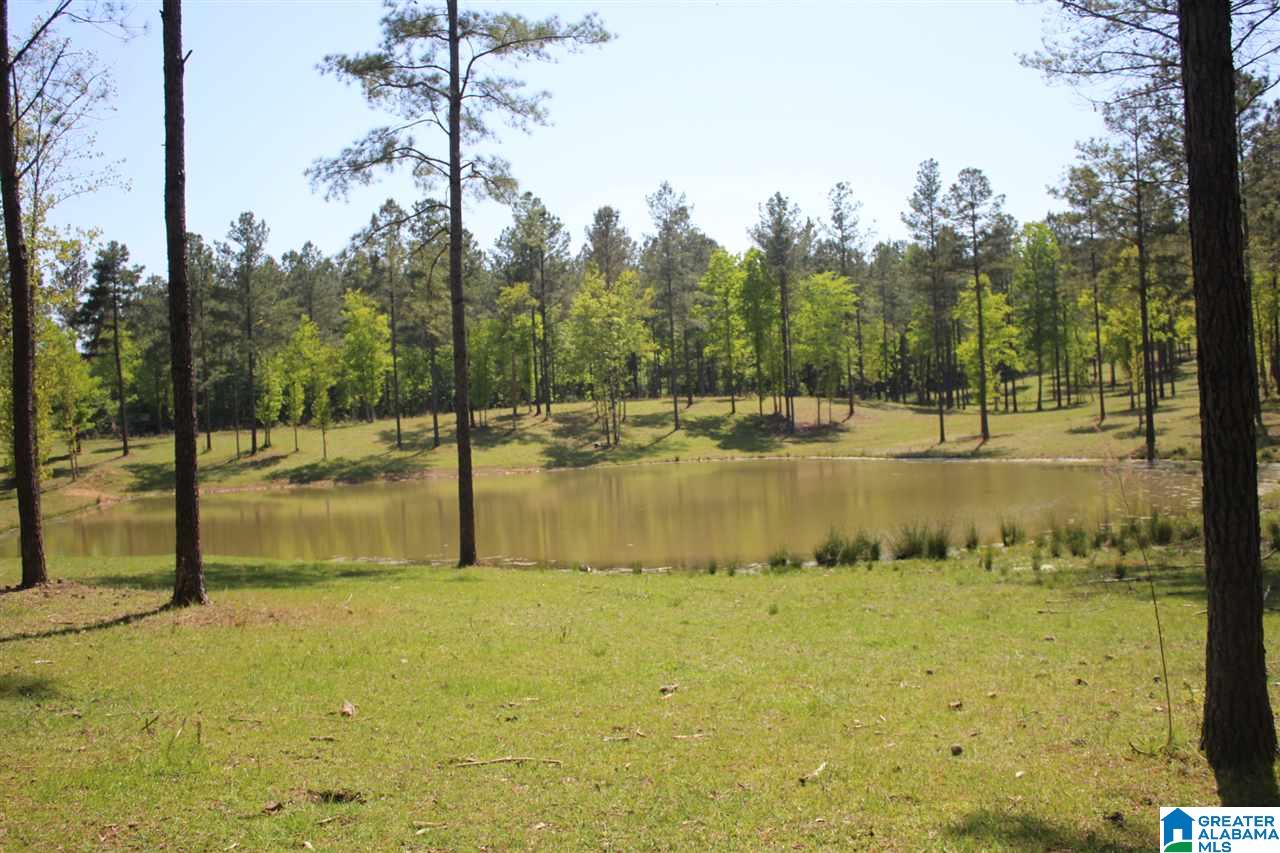0 Alston Farm Road, Unit 1 Columbiana, AL 35051 - Photo 6 of 8