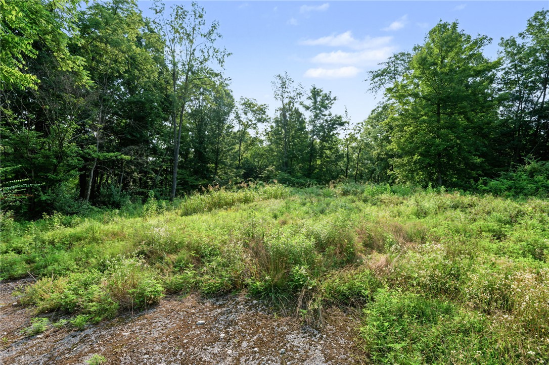 5793 Brant Road Morrow, OH 45152 - Photo 4 of 14