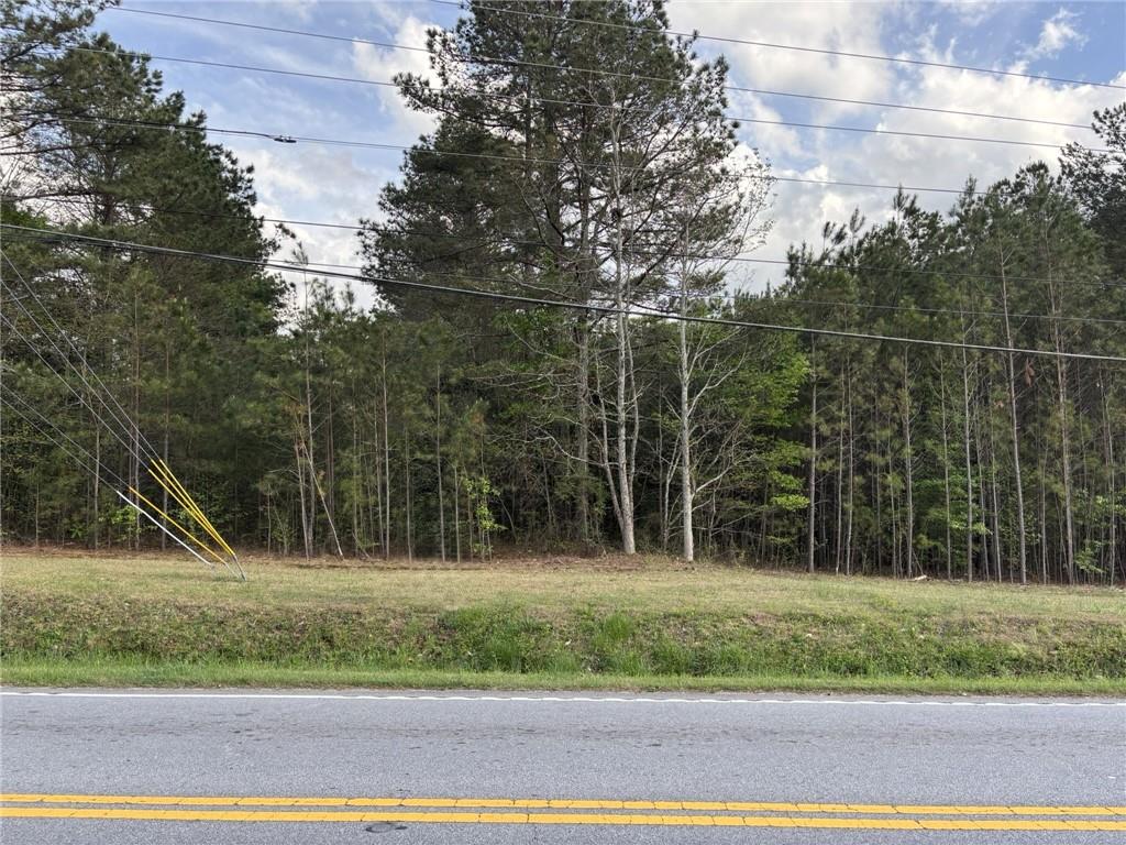 0 Highway 166 Winston, GA 30187 - Photo 4 of 7