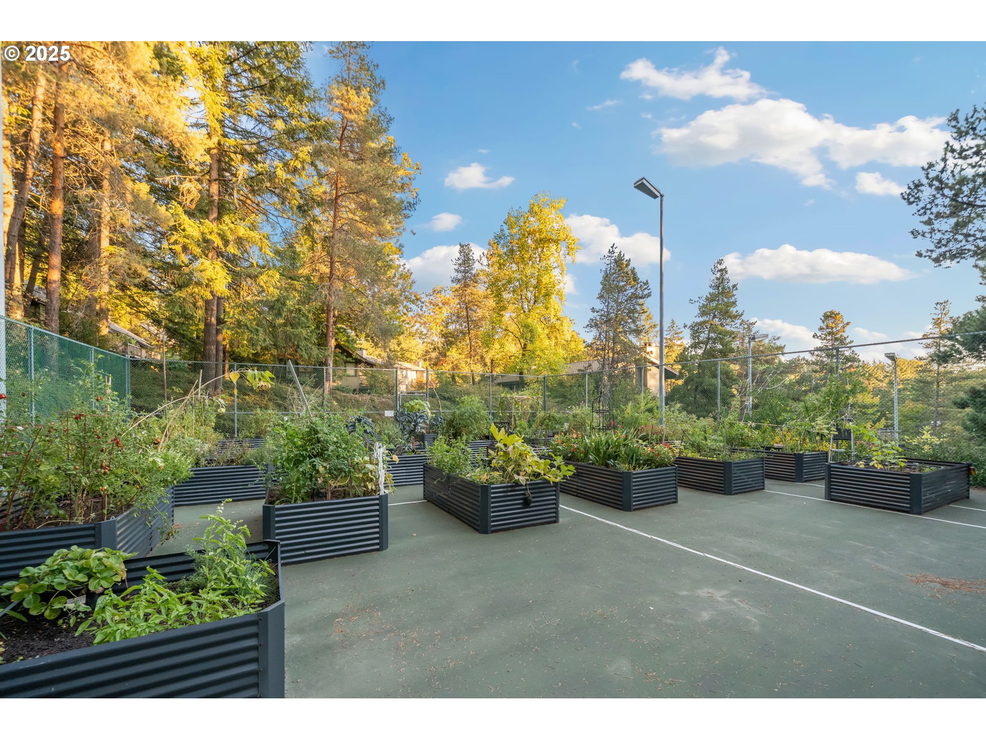7550 Southwest Barnes Road, Unit E Portland, OR 97225 - Photo 19 of 25 Gallery Image 19