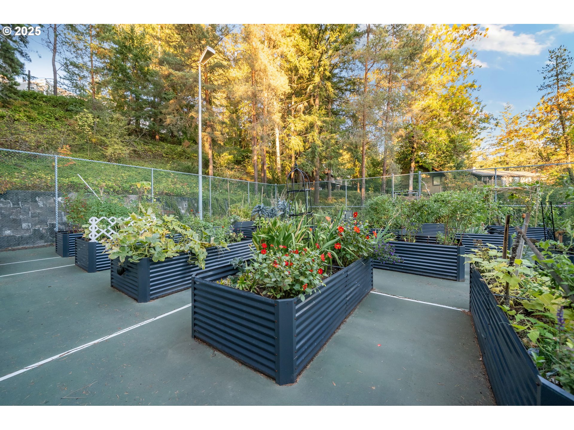7550 Southwest Barnes Road, Unit E Portland, OR 97225 - Photo 20 of 25 Gallery Image 20