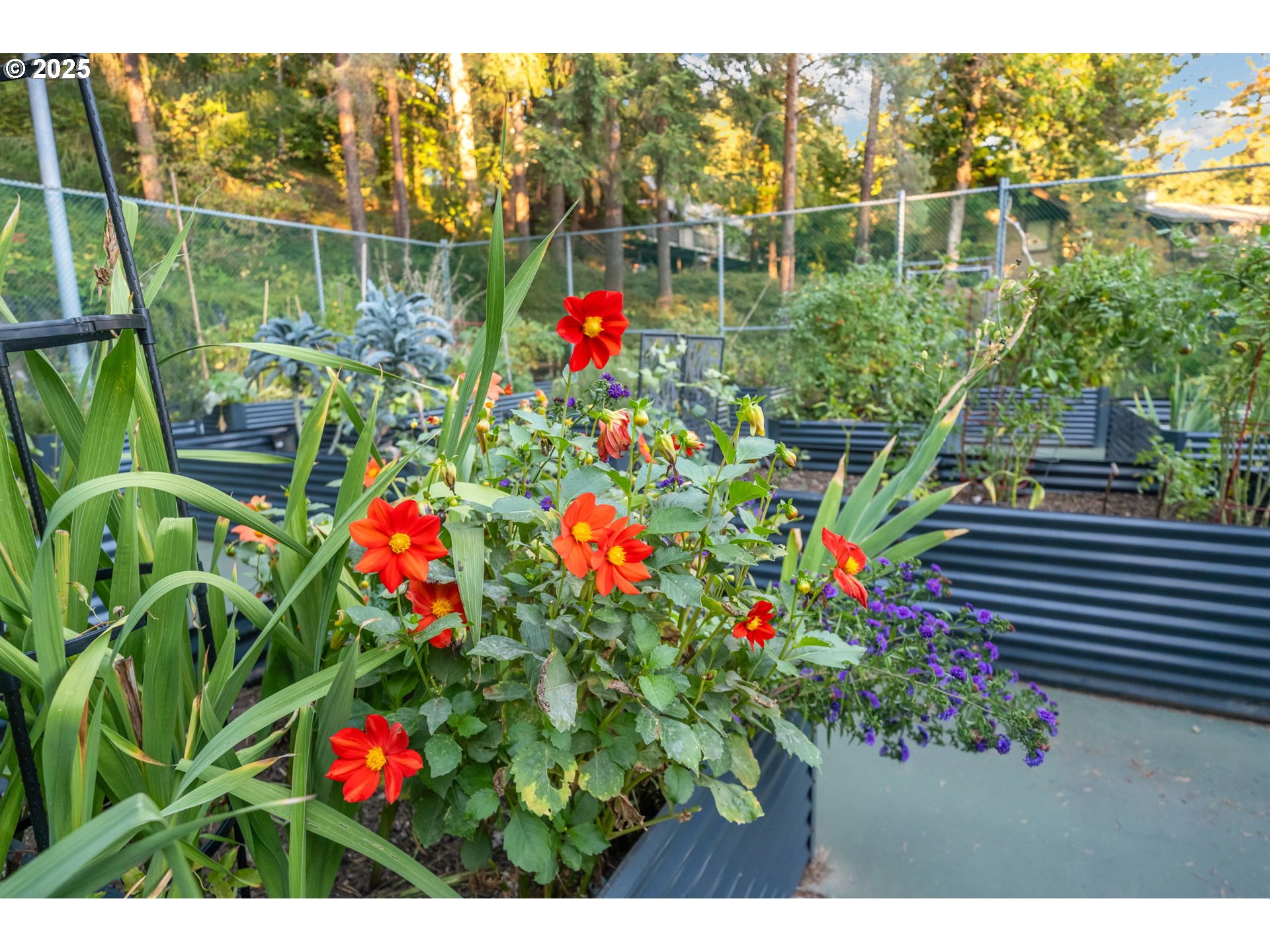 7550 Southwest Barnes Road, Unit E Portland, OR 97225 - Photo 21 of 25 Gallery Image 21