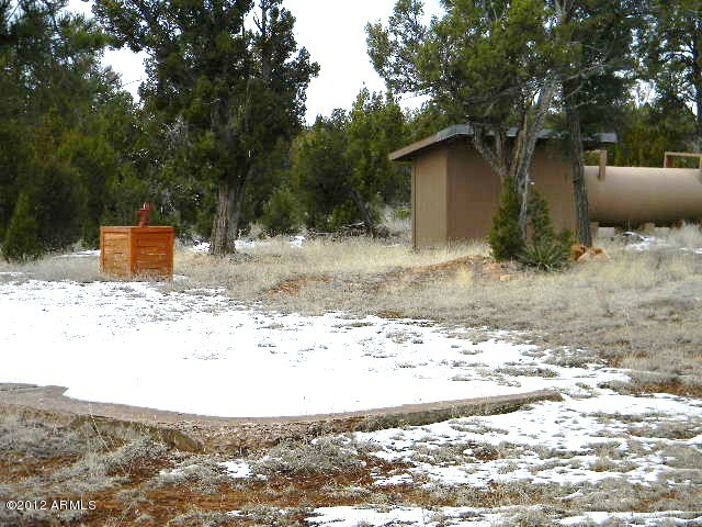 3402 Beaufeaux Road, Unit 14D Overgaard, AZ 85933 - Photo 3 of 11 009