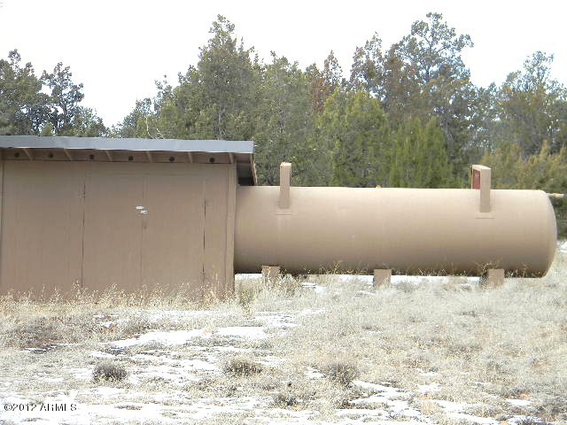 3402 Beaufeaux Road, Unit 14D Overgaard, AZ 85933 - Photo 7 of 11 005