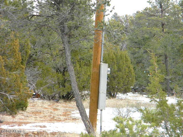 3402 Beaufeaux Road, Unit 14D Overgaard, AZ 85933 - Photo 8 of 11 007