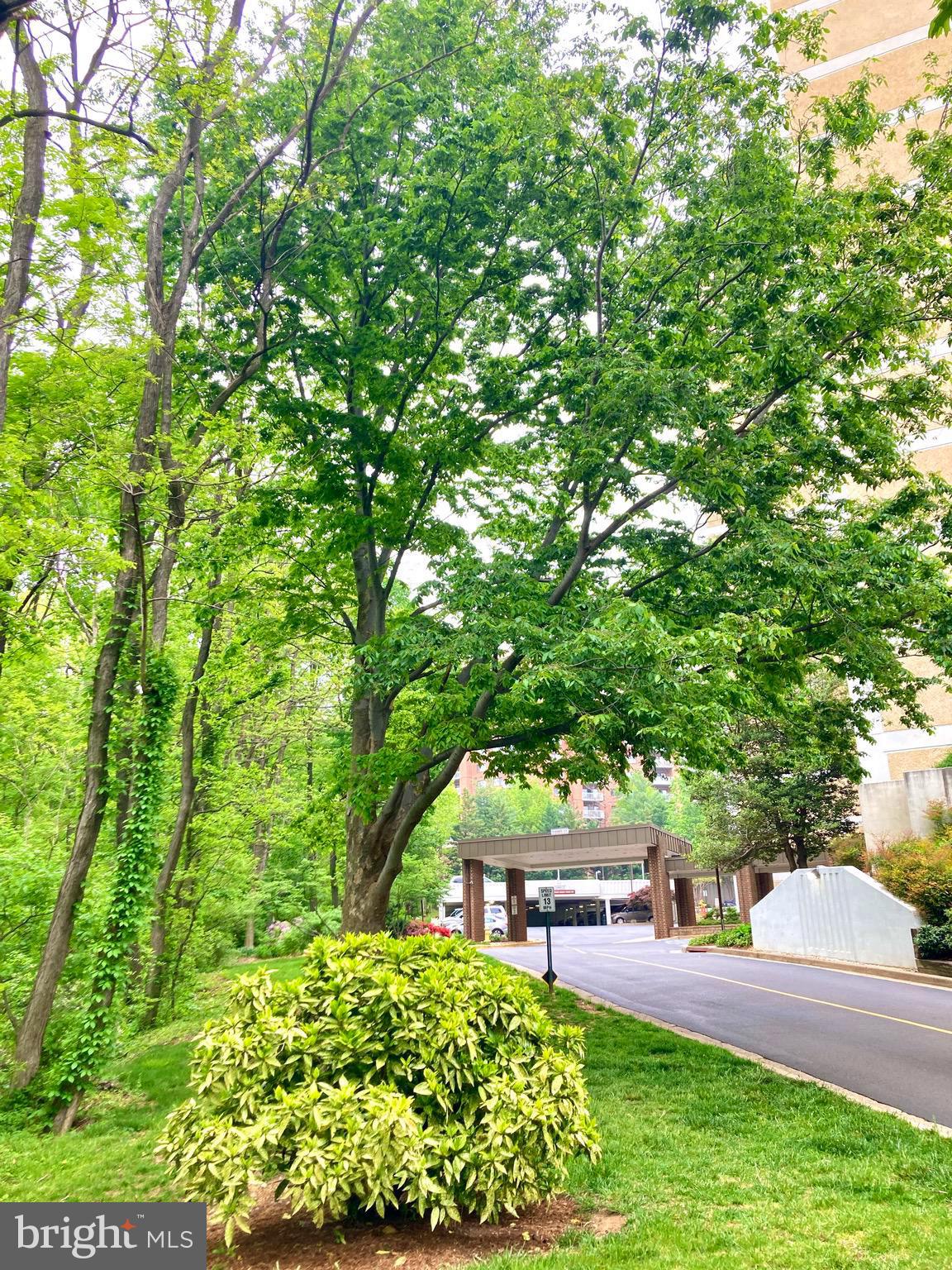 6101 Edsall Road, Unit 411 Alexandria, VA 22304 - Photo 45 of 48 Gallery Image 45