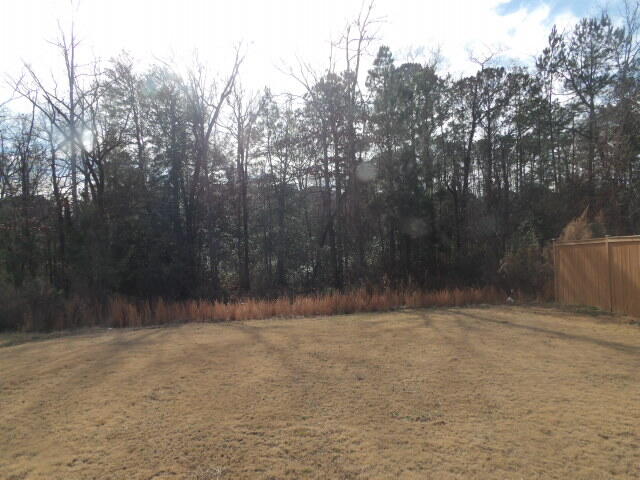 320 Sundew Road Elgin, SC 29045 - Photo 33 of 36