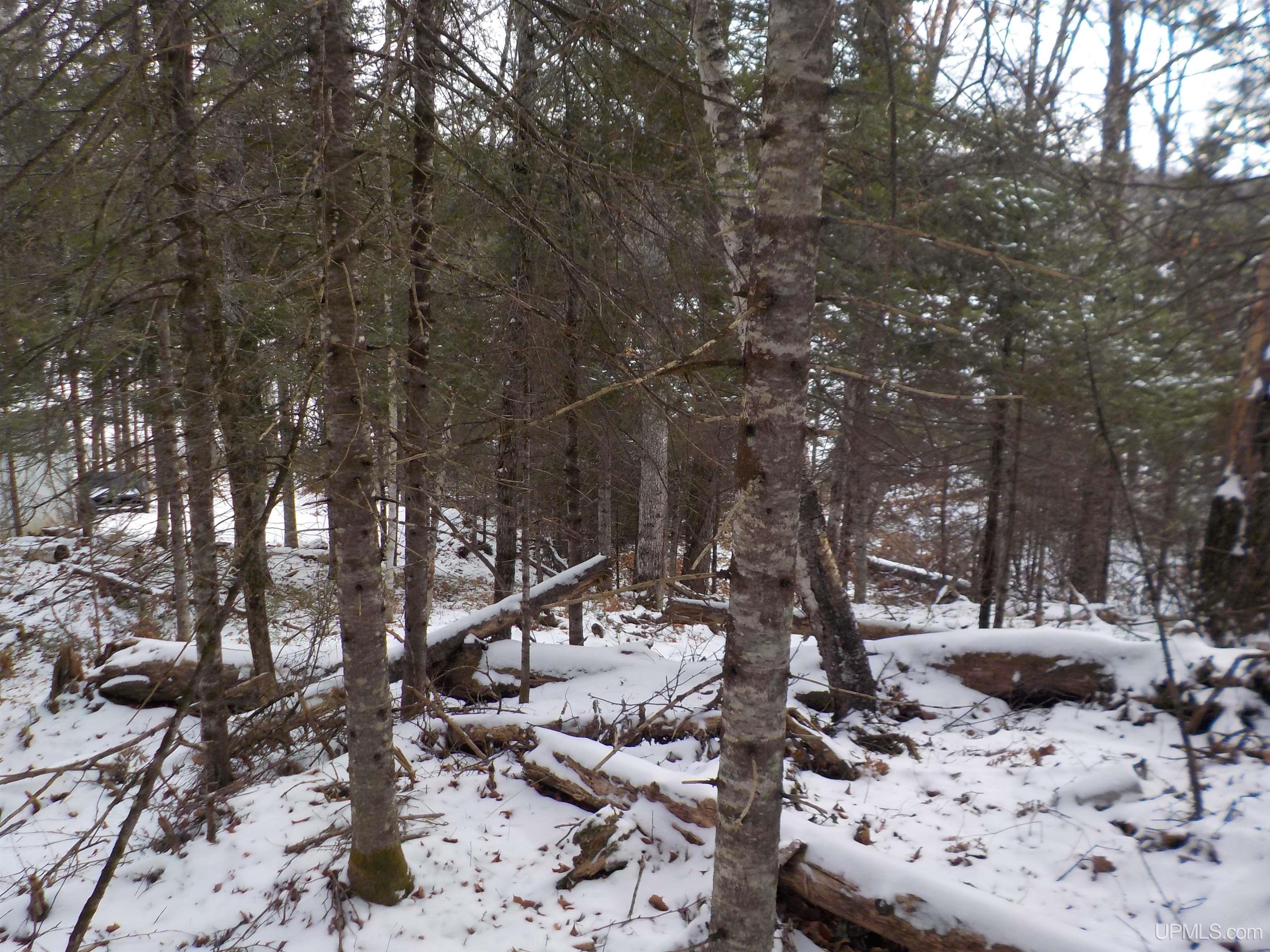 1.52-ac Bates-Amasa Road Crystal Falls, MI 49920 - Photo 19 of 28 Gallery Image 19