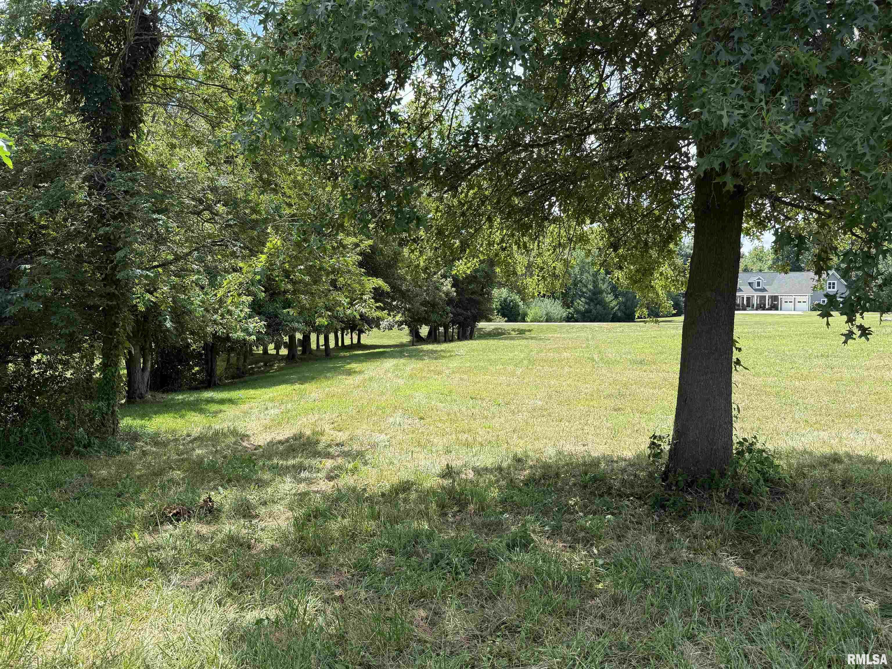 102 Davis Drive Watson, IL 62473 - Photo 2 of 11