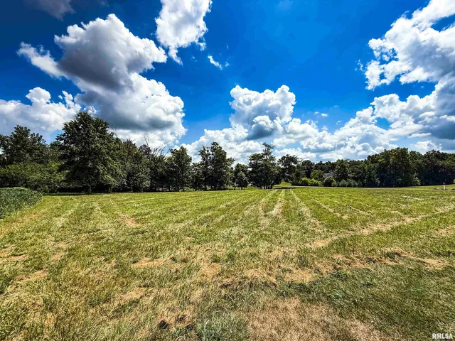 $45,900 | 102 Davis Drive, Watson, IL 62473