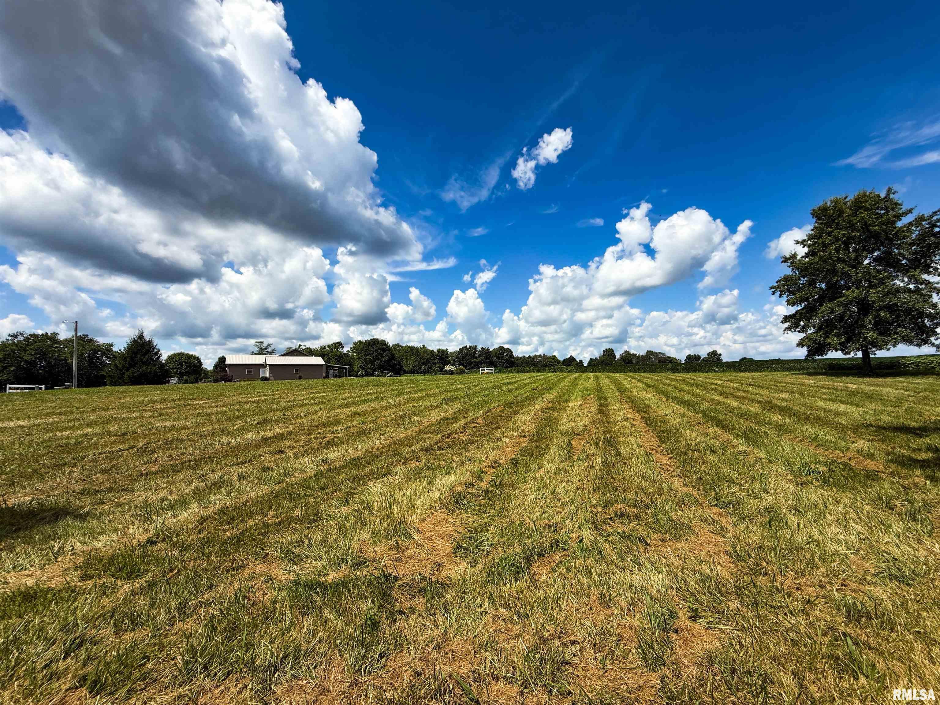 102 Davis Drive Watson, IL 62473 - Photo 6 of 11