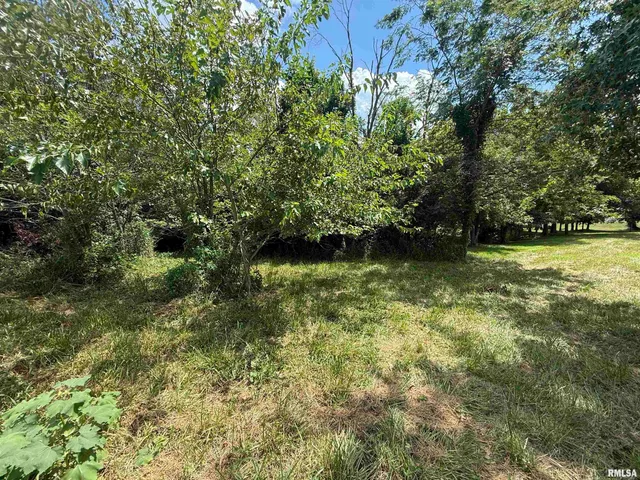 $45,900 | 102 Davis Drive, Watson, IL 62473