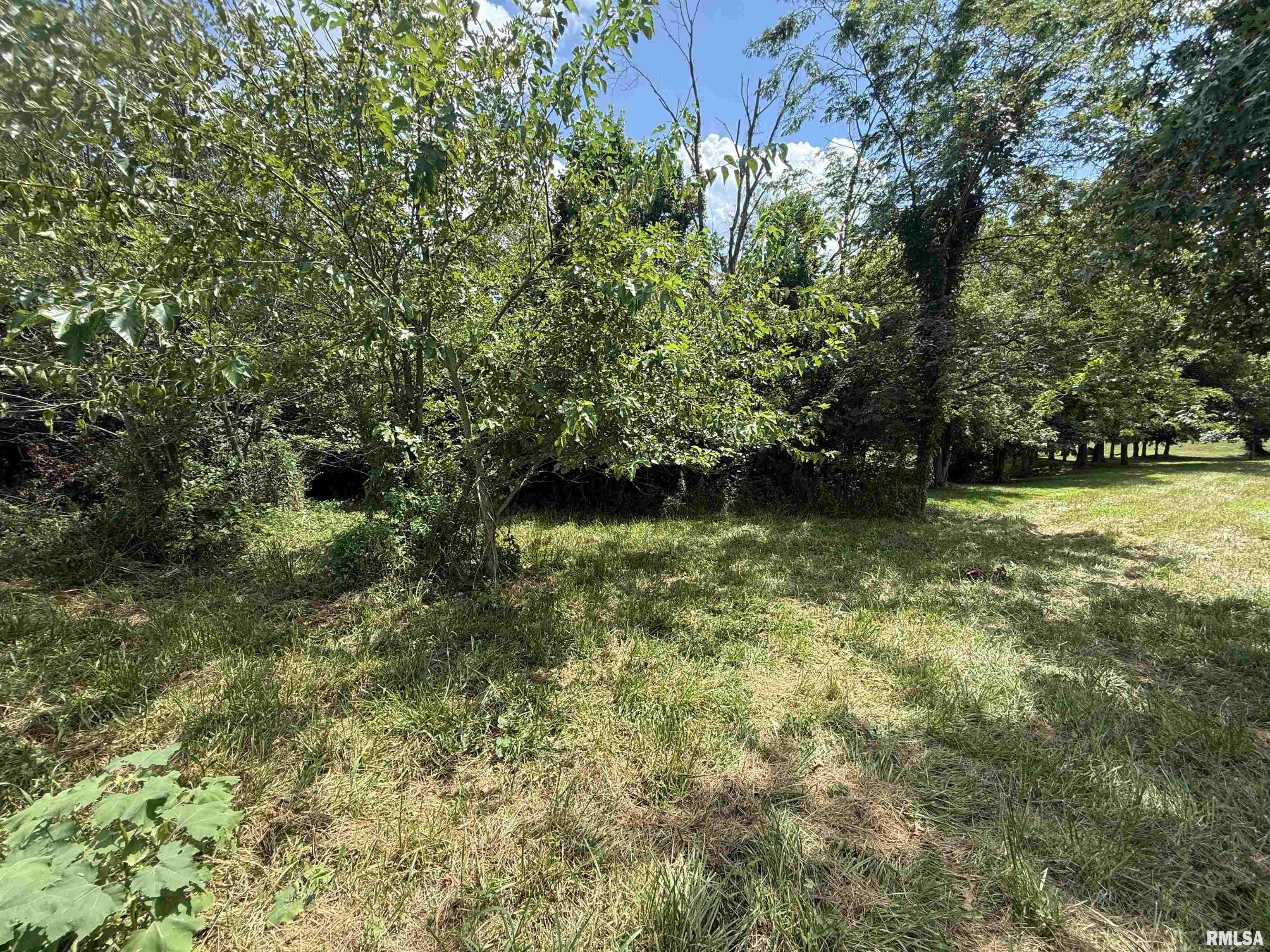 102 Davis Drive Watson, IL 62473 - Photo 8 of 11