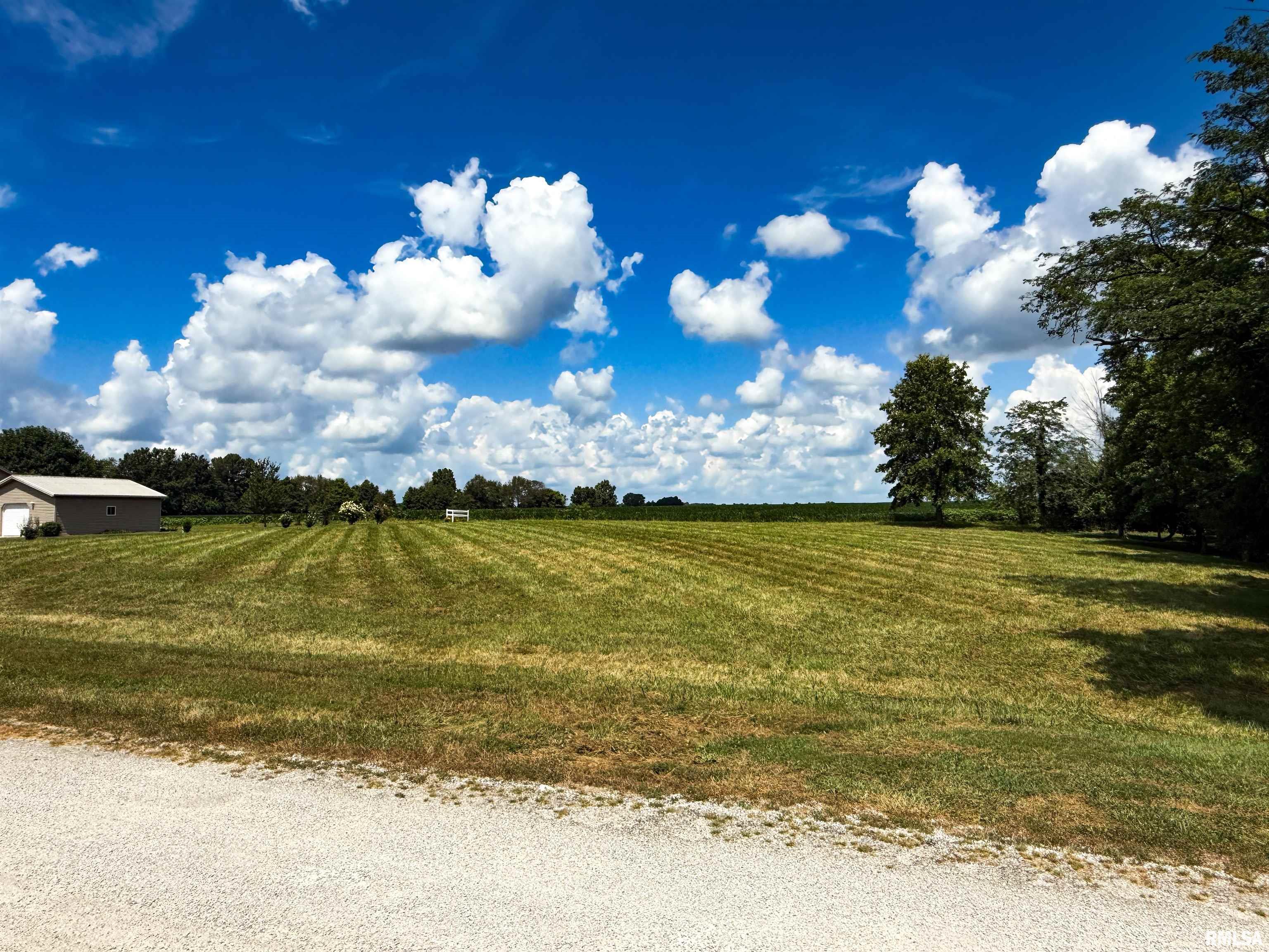 102 Davis Drive Watson, IL 62473 - Photo 10 of 11