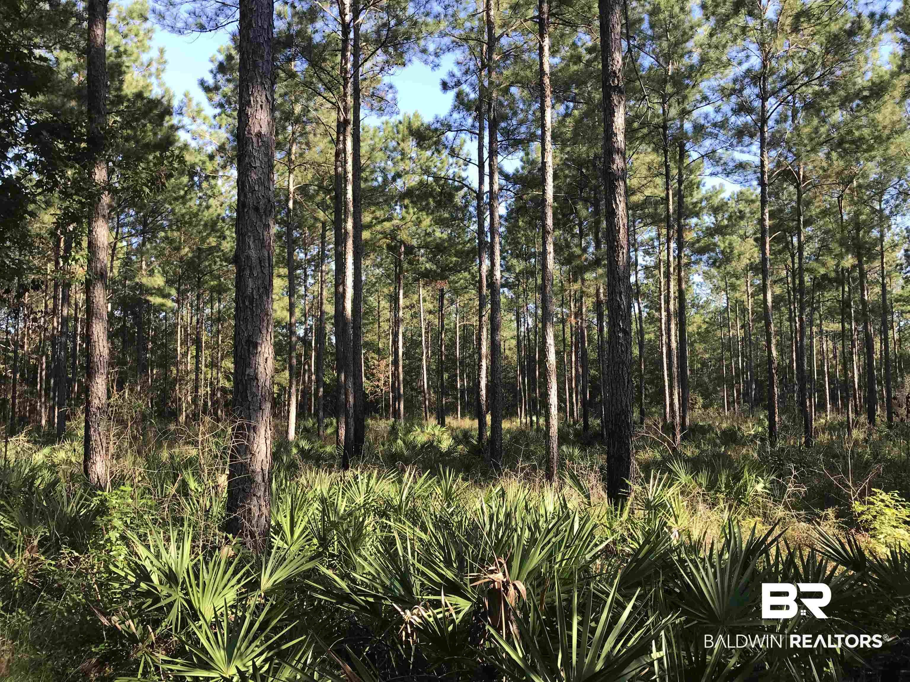 0 Red Feather Drive Seminole, AL 36574 - Photo 13 of 13