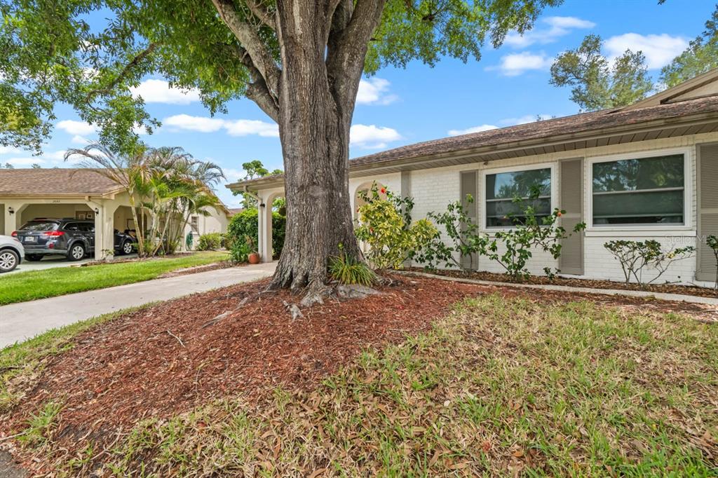 2034 Hawkhurst Circle, Unit 178 Sun City Center, FL 33573 - Photo 39 of 46 a front view of a house with garden