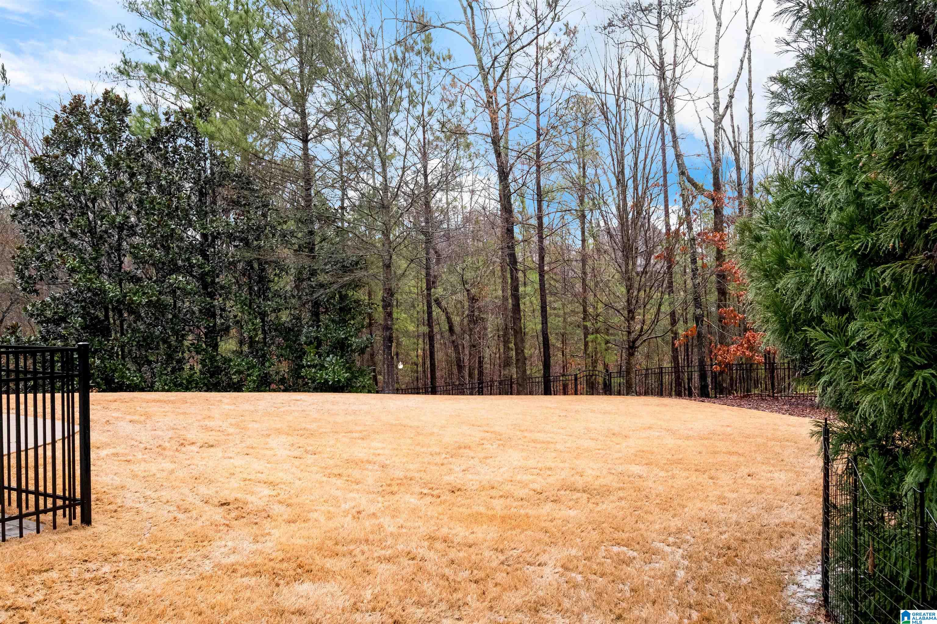 4333 Kings Mountain Ridge Birmingham, AL 35242 - Photo 71 of 81