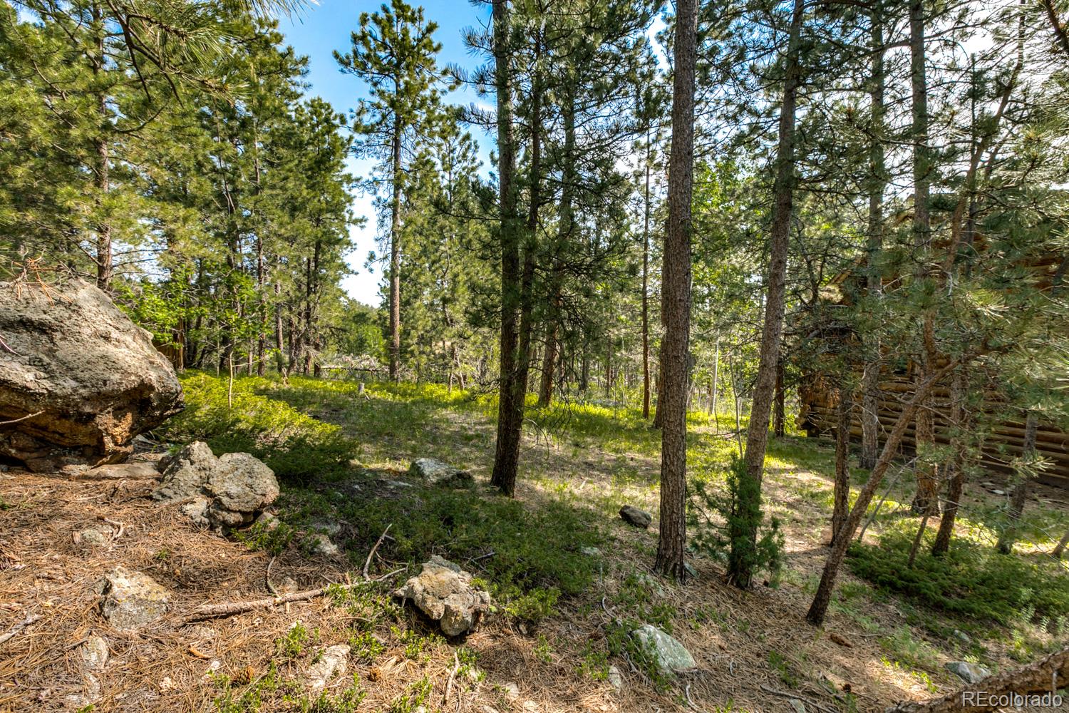 195 Pine Road Golden, CO 80403 - Photo 24 of 31 a view of outdoor space and tree