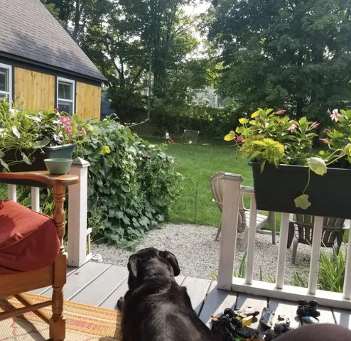 $395,000 | 28 Upper Cherry Street, Hardwick, VT 05843