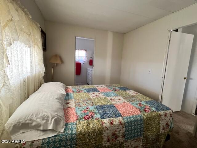 747 North Starr Road Apache Junction, AZ 85119 - Photo 32 of 48 a bedroom with a bed and a mirror