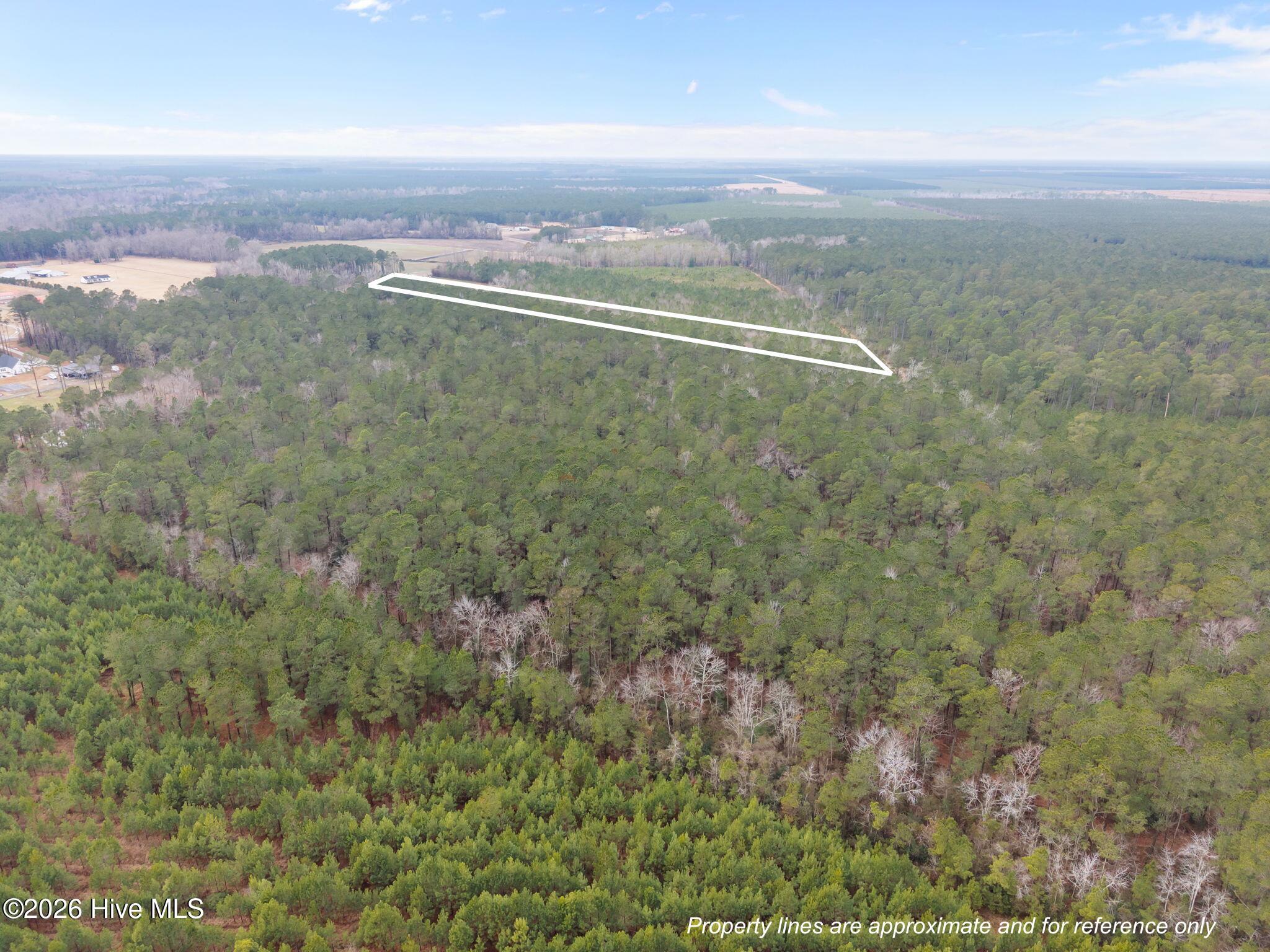 1363 Deppe Loop Road Maysville, NC 28555 - Photo 6 of 8 1363 Deppe Loop Road