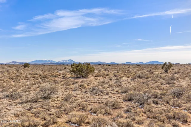 a view of a field with an ocean beach